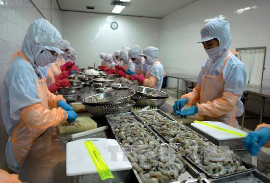 Ngành tôm nhắm mục tiêu xuất khẩu đạt 10 tỷ USD giai đoạn 2021- 2025 ảnh 1
